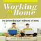 Working at Home: The Advantages of Working at Home (Unabridged) audio book by Ava Lourdes
