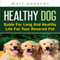 Healthy Dog: Guide for Long and Healthy Life for Your Revered Pet (Unabridged) audio book by Matt Andrews