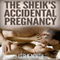The Sheik's Accidental Pregnancy: The Botros Brothers Series, Book 1 (Unabridged) audio book by Leslie North