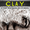 Clay: Halfskin, Book 2 (Unabridged) audio book by Tony Bertauski