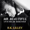 Mr. Beautiful: Up in the Air, Book 4 (Unabridged) audio book by R.K. Lilley