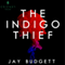 The Indigo Thief (Unabridged) audio book by Jay Budgett