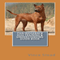 Thai Ridgeback Dog Training & Understanding Guide Book (Unabridged) audio book by Vince Stead
