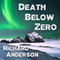 Death Below Zero (Unabridged) audio book by Richard Anderson