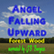 Angel Falling Upward (Unabridged) audio book by Forest Wood