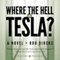 Where the Hell is Tesla?: A Novel (Unabridged) audio book by Rob Dircks