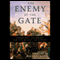 The Enemy at the Gate: Habsburgs, Ottomans and the Battle for Europe (Unabridged) audio book by Andrew Wheatcroft
