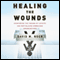 Healing the Wounds: Overcoming Layoffs and Revitalizing Organizations, Revised and Updated (Unabridged) audio book by David M. Noer
