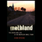 Methland: The Death and Life of an American Small Town (Unabridged) audio book by Nick Reding