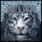 Tiger's Curse (Unabridged) audio book by Colleen Houck
