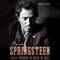 Bruce Springsteen and the Promise of Rock 'n' Roll (Unabridged) audio book by Marc Dolan