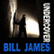 Undercover: Harpur and Iles, Book 29 (Unabridged) audio book by Bill James