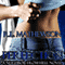 Perfection (Unabridged) audio book by R. L. Mathewson