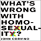 What's Wrong with Homosexuality? (Unabridged) audio book by John Corvino