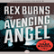 The Avenging Angel: Gabe Wagner, Book 5 (Unabridged) audio book by Rex Burns