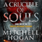 A Crucible of Souls: The Sorcery Ascendant Sequence, Book 1 (Unabridged) audio book by Mitchell Hogan