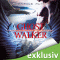 Auf lautlosen Schwingen (Ghostwalker 3) audio book by Michelle Raven