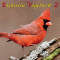 Exotische Vogelwelt 2. Vom Allfarblori bis zum Zgelpinguin audio book by Karl-Heinz Dingler