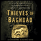 Thieves of Baghdad audio book by Matthew Bogdanos and William Patrick