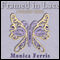Framed in Lace (Unabridged) audio book by Monica Ferris