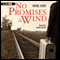 No Promises in the Wind (Unabridged) audio book by Irene Hunt
