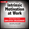 Intrinsic Motivation at Work: What Really Drives Employee Engagement, 2nd Edition (Unabridged) audio book by Kenneth Thomas