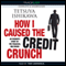 How I Caused the Credit Crunch: An Insider's Story of the Financial Meltdown (Unabridged) audio book by Tetsuya Ishikawa