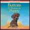 Buttons the Runaway Puppy (Unabridged) audio book by Holly Webb