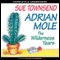 Adrian Mole: The Wilderness Years (Unabridged) audio book by Sue Townsend