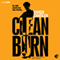 Clean Burn (Unabridged) audio book by Karen Sandler