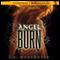 Angel Burn (Unabridged) audio book by L. A. Weatherly