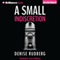 A Small Indiscretion (Unabridged) audio book by Denise Rudberg