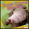 Flesh-Eating Machines: Maggots in the Food Chain audio book by June Preszler