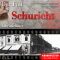 Arbeitnehmer: Der Fall Schuricht audio book by Christian Lunzer, Henner Kotte