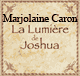 La lumire de Joshua audio book by Marjolaine Caron
