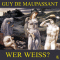 Wer wei? audio book by Guy de Maupassant