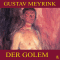 Der Golem audio book by Gustav Meyrink
