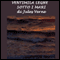 Ventimila leghe sotto i mari [Twenty Thousand Leagues Under the Sea] audio book by Jules Verne