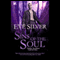 Sins of the Soul (Unabridged) audio book by Eve Silver
