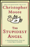The Stupidest Angel: A Heartwarming Tale of Christmas Terror (Unabridged) audio book by Christopher Moore