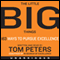The Little Big Things: 163 Ways to Pursue EXCELLENCE (Unabridged) audio book by Tom Peters