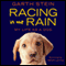 Racing in the Rain (Unabridged) audio book by Garth Stein