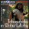 Tohuwabohu in Wohu Batohu (Star Gate 29) audio book by Miguel de Torres