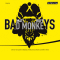 Bad Monkeys audio book by Matt Ruff