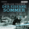 Der eiserne Sommer audio book by Angelika Felenda