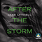 After the Storm (Unabridged) audio book by Jane Lythell