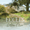 After Clare (Unabridged) audio book by Marjorie Eccles