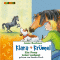 Ein Pony total verhext (Klara + Krmel) audio book by Anne Bachner