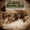 A Dark Brown Dog: A Stephen Crane Story (Unabridged) audio book by Steven Crane