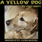 A Yellow Dog (Unabridged) audio book by Bret Harte